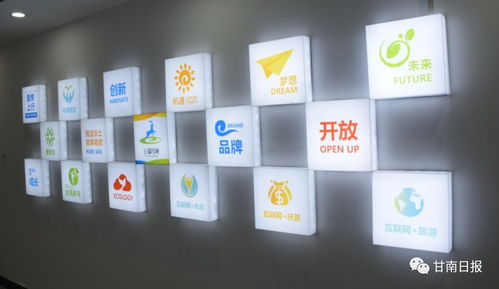 合作市電子商務公共服務中心正式啟動，賦能電商運營管理服務新篇章