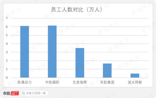 私有化后三次借殼失敗 軟件外包老二軟通動(dòng)力沖刺注冊制